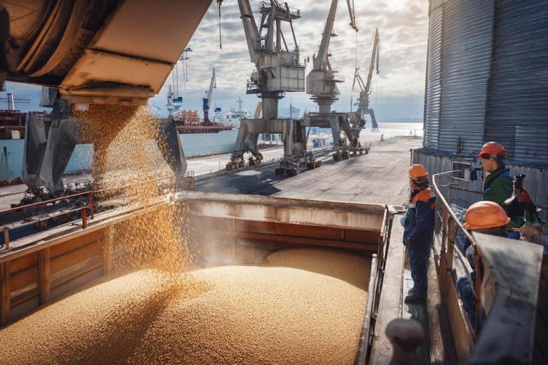 Россия за две декады мая нарастила экспорт зерна почти вдвое